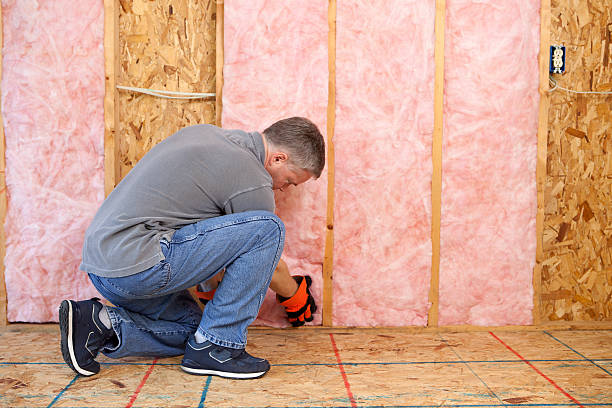 Best Insulation Installation Services in Spring Hope, NC